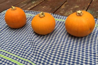 Mini Pumpkin Jack O’Lanterns