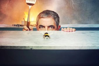 Man vs Bee: 13 Reasons Why Trevor should never house sit