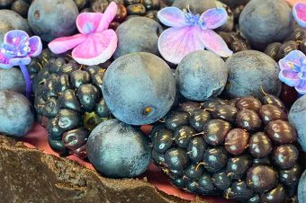 Gorgeous Easy No-Bake Oreo Blackberry Mousse Tart